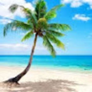 Meet your Posher, Lincoln